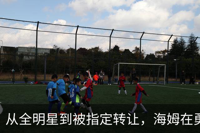 从全明星到被指定转让，海姆在勇士只打了12场