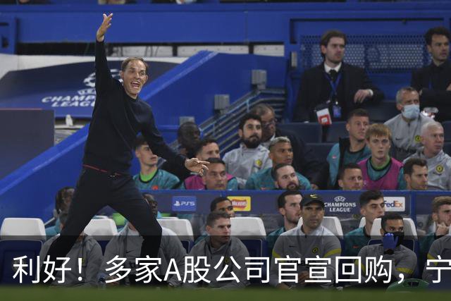 利好!多家A股公司官宣回购,宁德时代单日买入8亿元