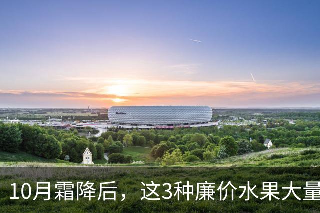 10月霜降后,这3种廉价水果大量上市,遇到买30斤,晒干囤起来,随吃随取,酸甜可口特解馋!